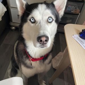 Meet your Posher, Christopher